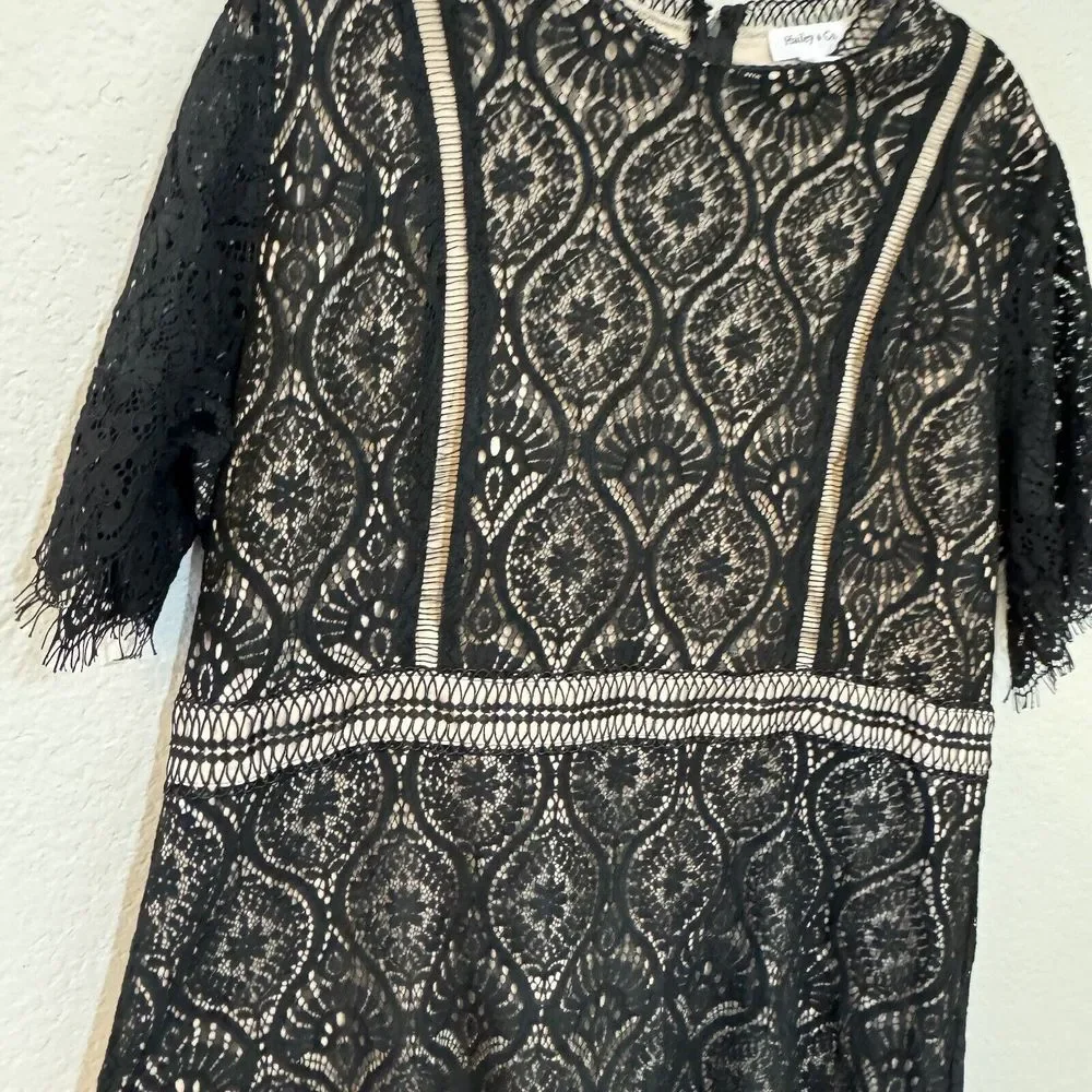 Hailey & Co Boutique Black Lace Event Dress Plus Size 3X - Picture 3 of 5